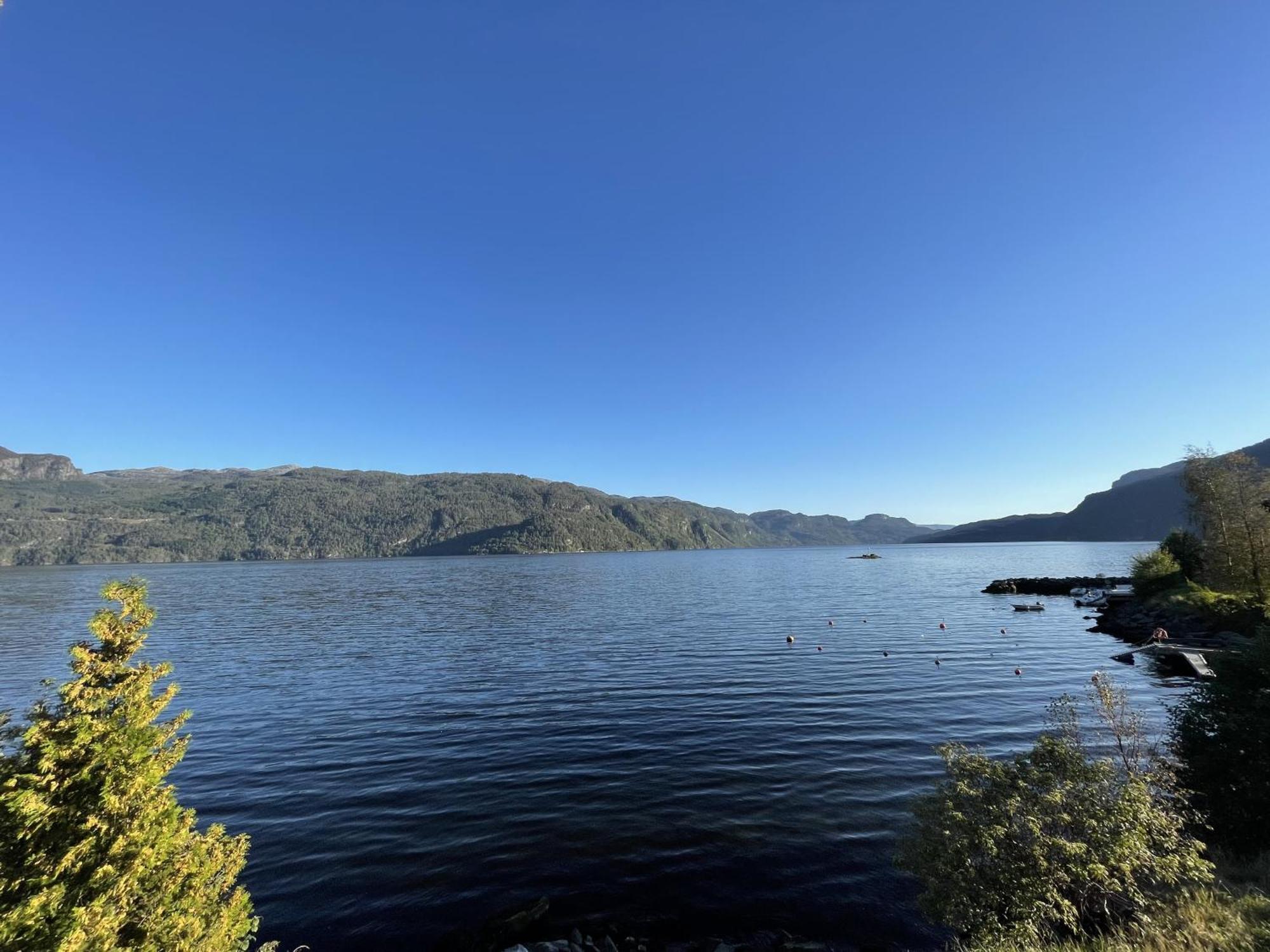 Sauda Fjord Camping Saudasjoen Ngoại thất bức ảnh